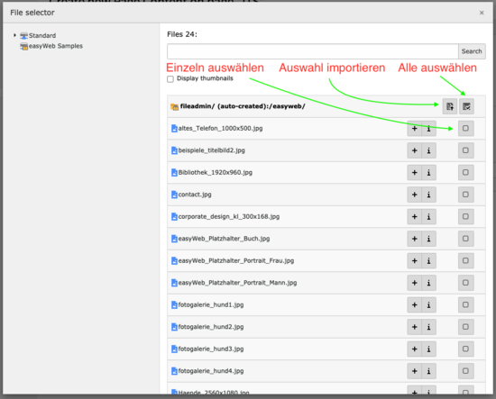 File Selector