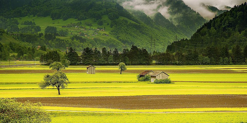 Landschaft mit Feldern