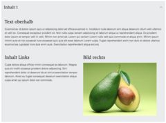 Beispiel für ein Rasterelement im Akkordeon, Ansicht im Frontend.