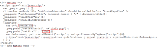 Example of a Matomo code snippet