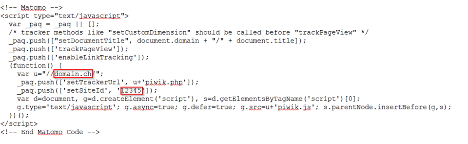 Example of a Matomo code snippet
