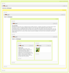 Beispiel für ein Rasterelement im Akkordeon, Ansicht im Backend.