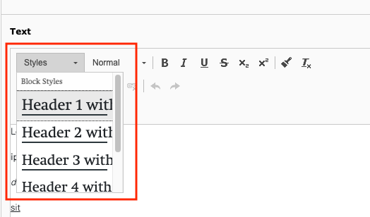 Dropdown Styles im Rich Text Editor